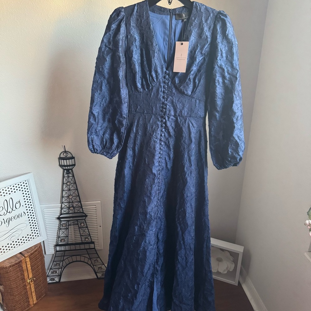 NWT Abbey Glass Brooke Organza V-Neck Button Front A-Line Maxi Dress Navy Sz XS - Picture 7 of 12